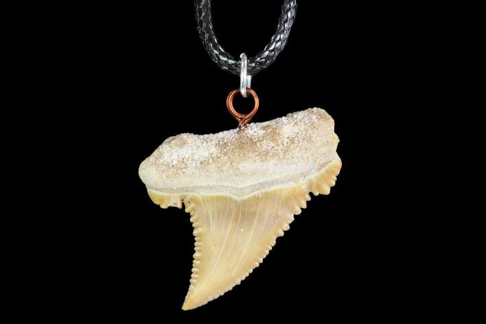 Fossil Shark (Palaeocarcharodon) Tooth Necklace -Morocco #110014